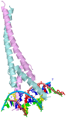 Image Biological Unit 3