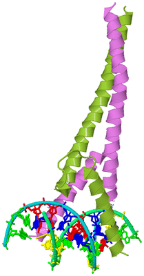 Image Biological Unit 4