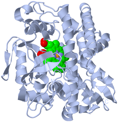 Image Biological Unit 1