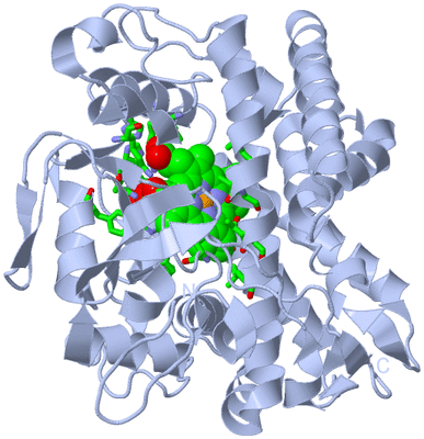 Image Biol. Unit 1 - sites