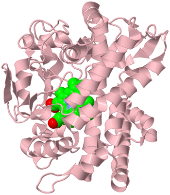 Image Biological Unit 3