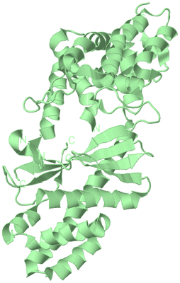 Image Biological Unit 2