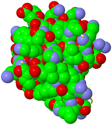 Image Biological Unit 3