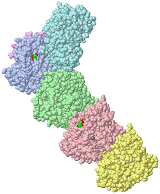 Image Asym./Biol. Unit