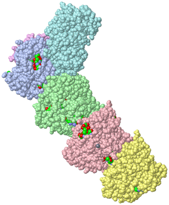 Image Asym./Biol. Unit - sites