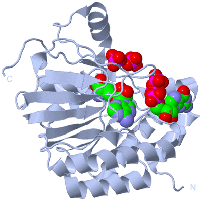 Image Biological Unit 1