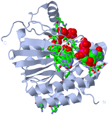 Image Biol. Unit 1 - sites