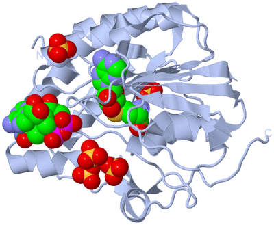 Image Biological Unit 1