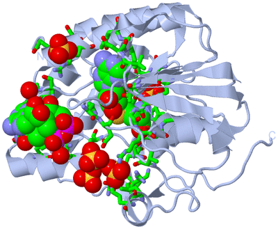 Image Biol. Unit 1 - sites