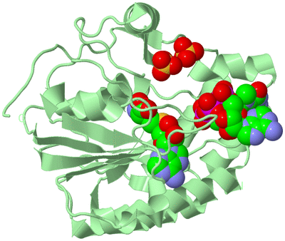 Image Biological Unit 2