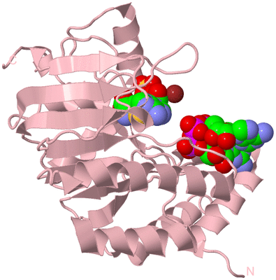 Image Biological Unit 3