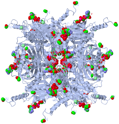 Image Biological Unit 1