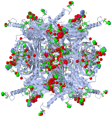 Image Biol. Unit 1 - sites