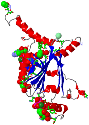 Image Asym. Unit - sites