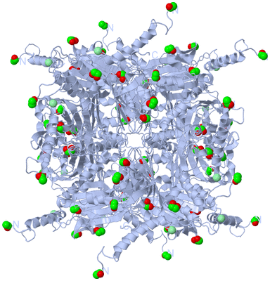 Image Biological Unit 1