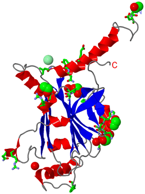 Image Asym. Unit - sites