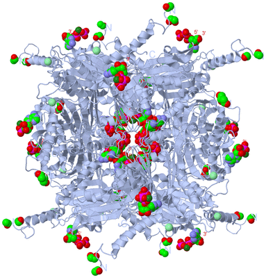 Image Biological Unit 1