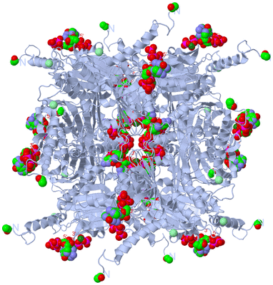 Image Biological Unit 1