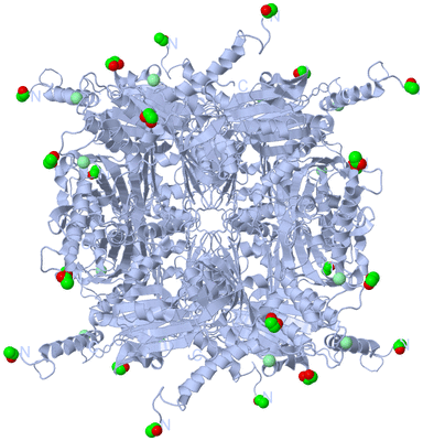 Image Biological Unit 1