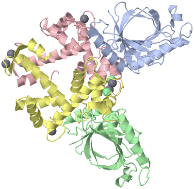 Image Asym./Biol. Unit