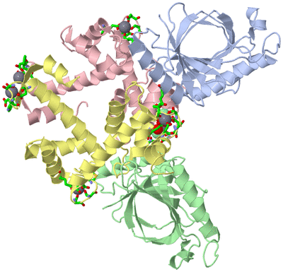 Image Asym./Biol. Unit - sites