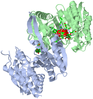 Image Asym./Biol. Unit - sites