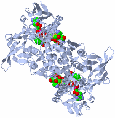 Image Biological Unit 1