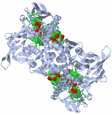 Image Biol. Unit 1 - sites