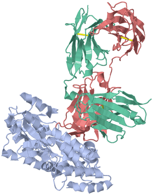 Image Asym./Biol. Unit