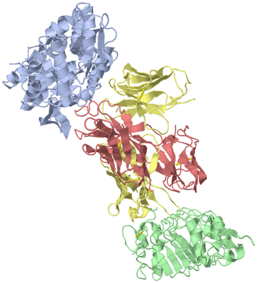 Image Asym./Biol. Unit