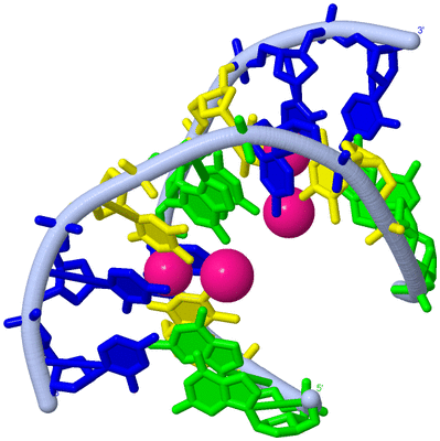 Image Biological Unit 1