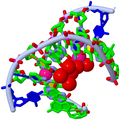 Image Biol. Unit 1 - sites