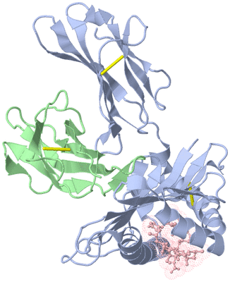 Image Biological Unit 1