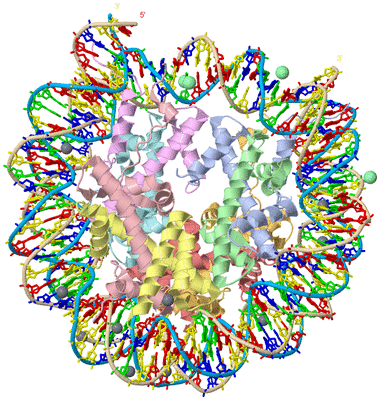 Image Asym./Biol. Unit