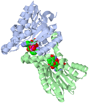 Image Asym./Biol. Unit