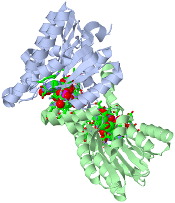 Image Asym./Biol. Unit - sites