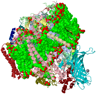 Image Biological Unit 1