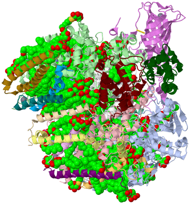 Image Biological Unit 2