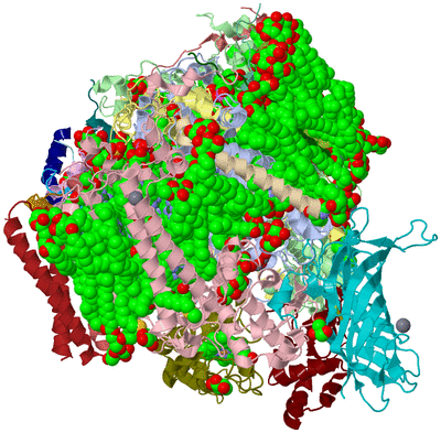 Image Biological Unit 1