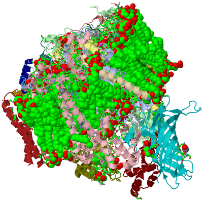 Image Biol. Unit 1 - sites