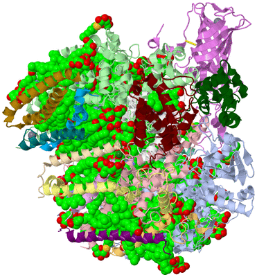 Image Biological Unit 2