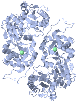 Image Biological Unit 2