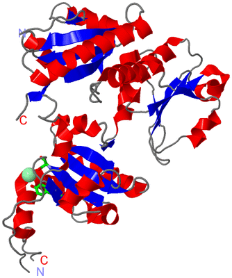 Image Asym. Unit - sites