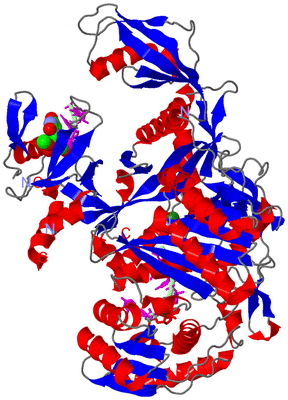 Image Asym./Biol. Unit