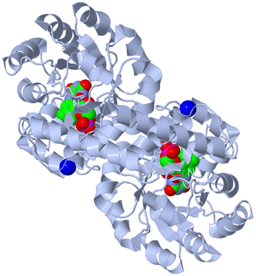 Image Biological Unit 1