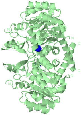 Image Biological Unit 2