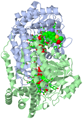 Image Biol. Unit 1 - sites