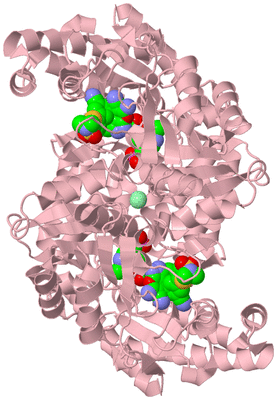 Image Biological Unit 2