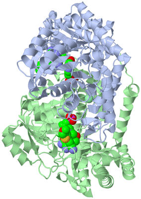 Image Biological Unit 1