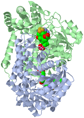 Image Biological Unit 1